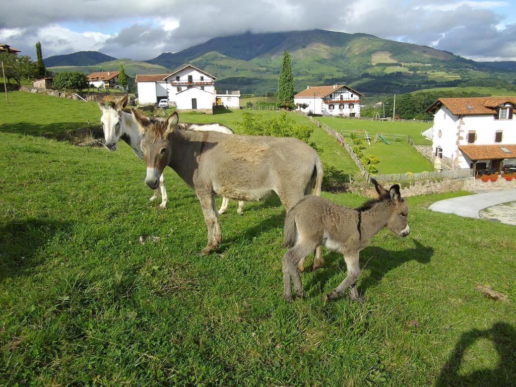 Casa Rural Gananea Zuaztoy de Azpilcueta Zimmer foto